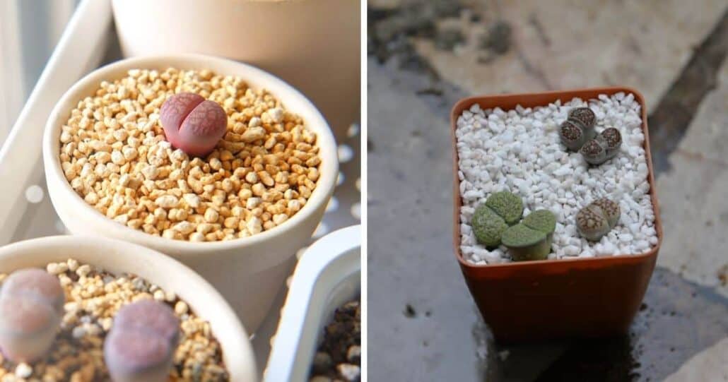 استفاده از پوکه برای گلدان