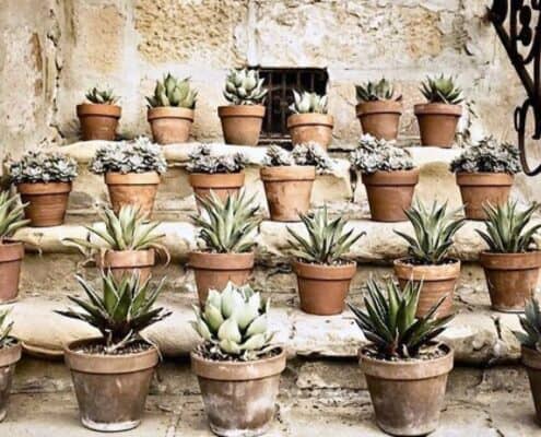 استفاده از پوکه معدنی برای گلدان